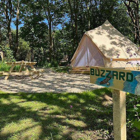 Glamping At Camp Corve Hotel Chale Екстериор снимка